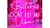 Bitch, Donʼt Kill My Vibe